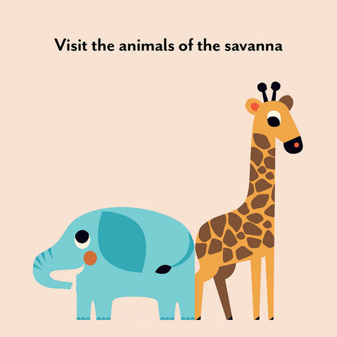 Bookscape Board Books: Wild Animals 硬頁書
