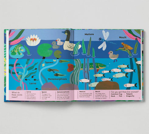 Animal Words for Little Zoologists 精裝書