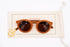 Classic Adults Polarized Sunglasses 成人太陽眼鏡 - Tierra