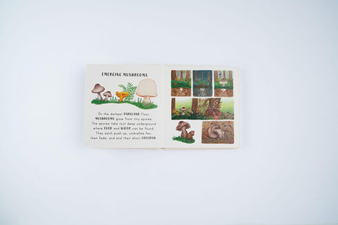 Slow Down...In the Park 硬頁書