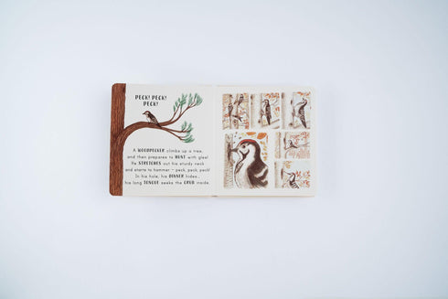 Slow Down...In the Park 硬頁書