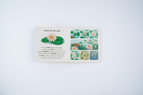 Slow Down...In the Park 硬頁書