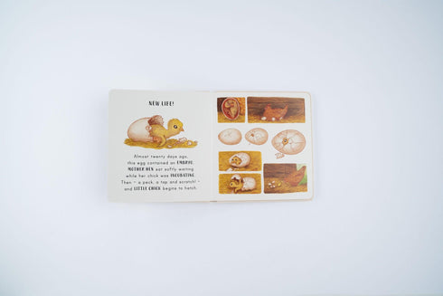 Slow Down... On your Doorstep 硬頁書