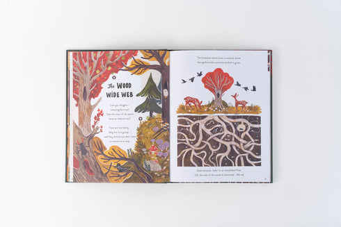 5 Minute Nature Story 精裝書