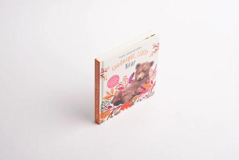 Goodnight, Little Bear 硬頁書