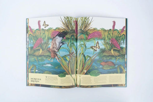 Earth’s Aquarium 精裝書