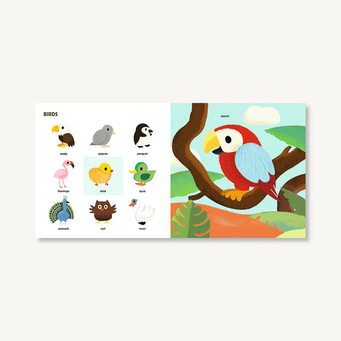 Touch! My Big Touch-and-Feel Word Book 觸感英語單詞書