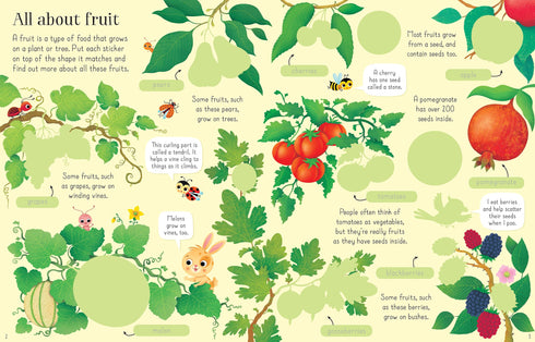 First Sticker Book Fruit and Vegetables 貼紙書