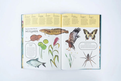 Earth’s Aquarium 精裝書