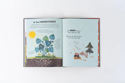 5 Minute Nature Story 精裝書