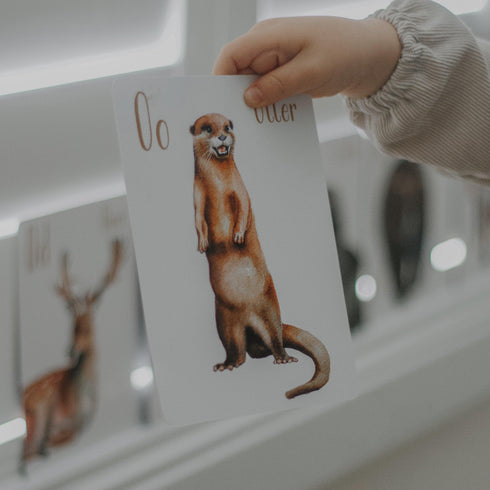 Animal Alphabet Flash Cards 動物英文字母字卡