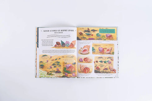 Slow Down and Be Here Now 圖解大自然百科全書