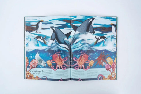 Earth’s Aquarium 精裝書