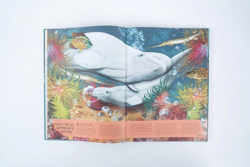 Earth’s Aquarium 精裝書