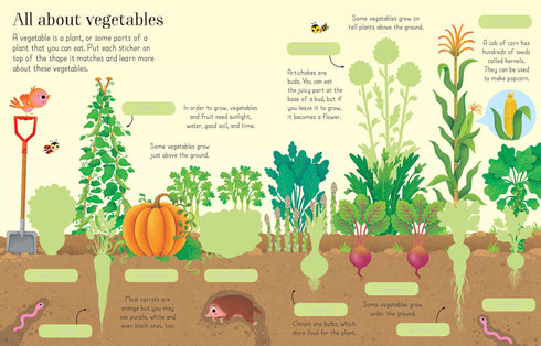 First Sticker Book Fruit and Vegetables 貼紙書