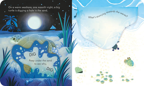 Peep Inside the Seashore 翻翻書