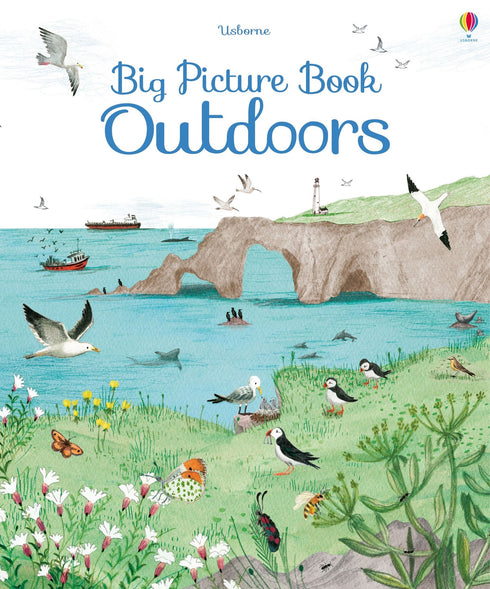 Big Picture Book Outdoors 圖畫大書